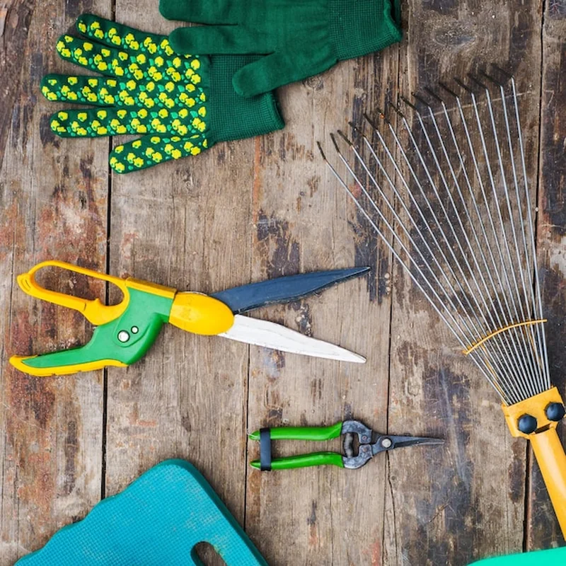 Narzędzia ogrodnicze na drewnianym stole