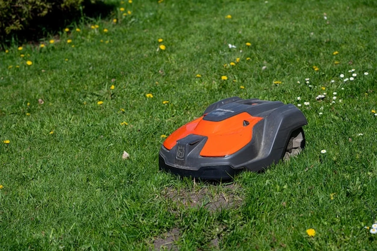 Autonomiczna kosiarka na zielonej trawie w parku w ciągu dnia