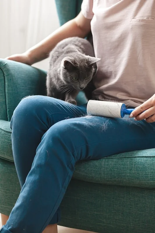 Kobieta czyszcząca ubrania z lepkim wałkiem z włosów kotów