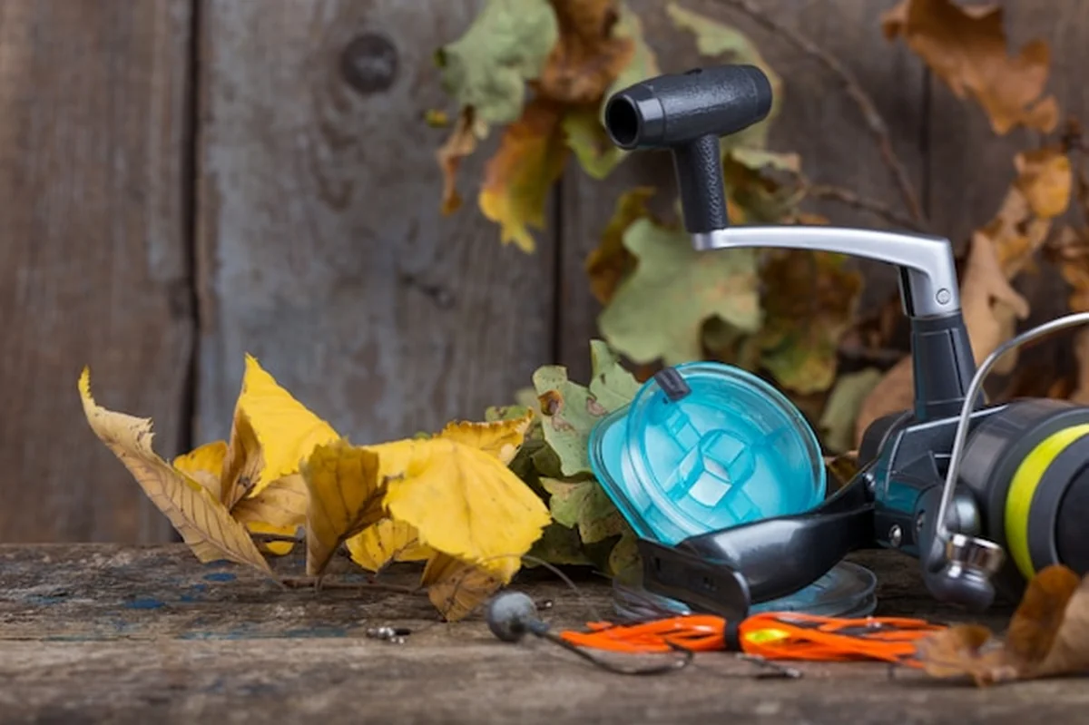 Sprzęt wędkarski na drewnianych z jesieni